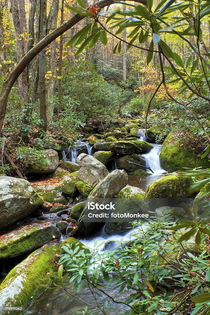 Cascadas en Roaring Fork, montañas Great Smoky, Gatlinburg Tennessee, EE.UU. - Foto de stock de Echar libre de derechos