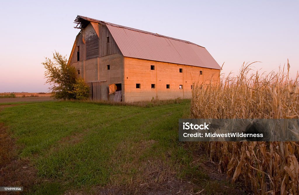 Vecchio Barn - Foto stock royalty-free di Agricoltura