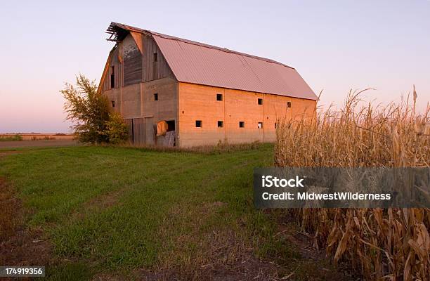 Vecchio Barn - Fotografie stock e altre immagini di Agricoltura - Agricoltura, Ambientazione esterna, Baracca - Struttura edile