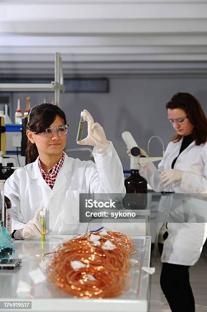 Photo libre de droit de Laboratoire En Cuivre Usine banque d'images et plus d'images libres de droit de Cuivre - En métal - Cuivre - En métal, Usine, ADN