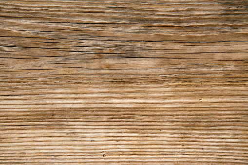 Wooden texture close-up. High resolution - 16 Mpx.