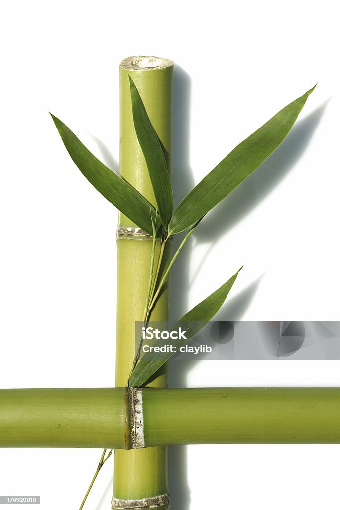 abstract bambú zen - Foto de stock de Abstracto libre de derechos
