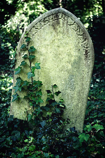 istock Halloween Tombstone Vine Covered Graveyard Cemetery 174920368