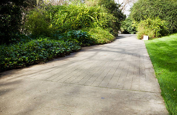 istock Concrete footpath in a garden 174920423