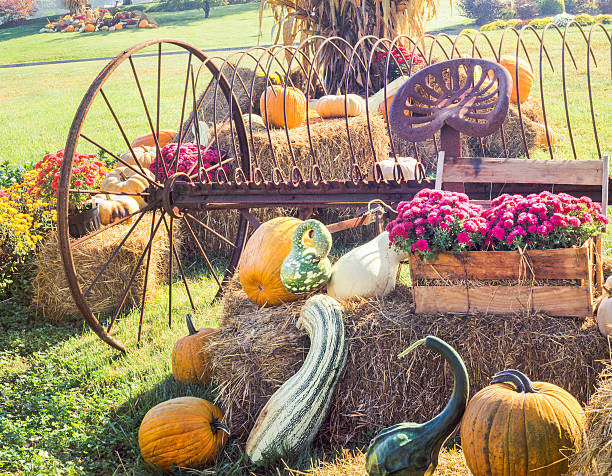 istock harvest pumpkins, gourds, squash, chrysanthemums and antique farm implement 174920718
