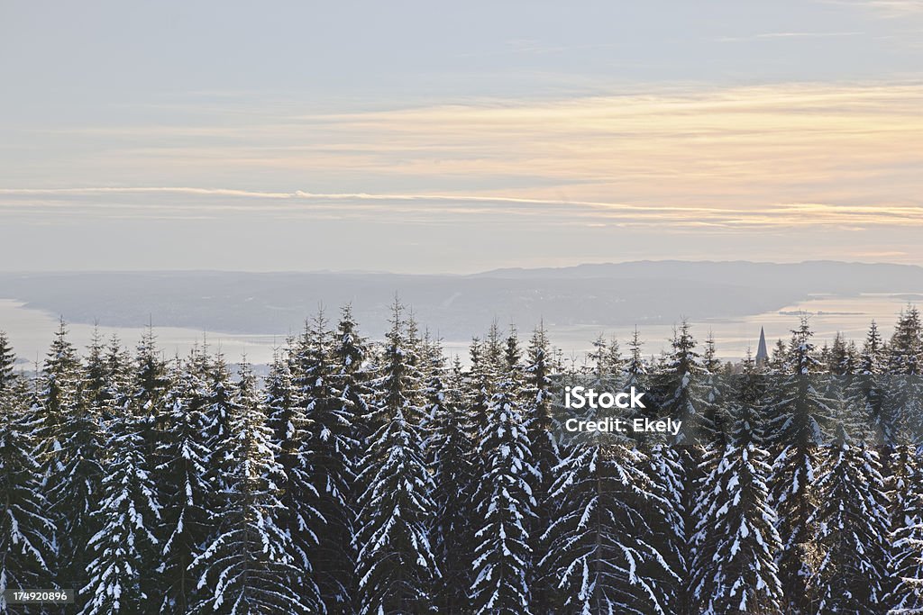 Vista de Holmenkollen. - Foto de stock de Holmenkollen royalty-free