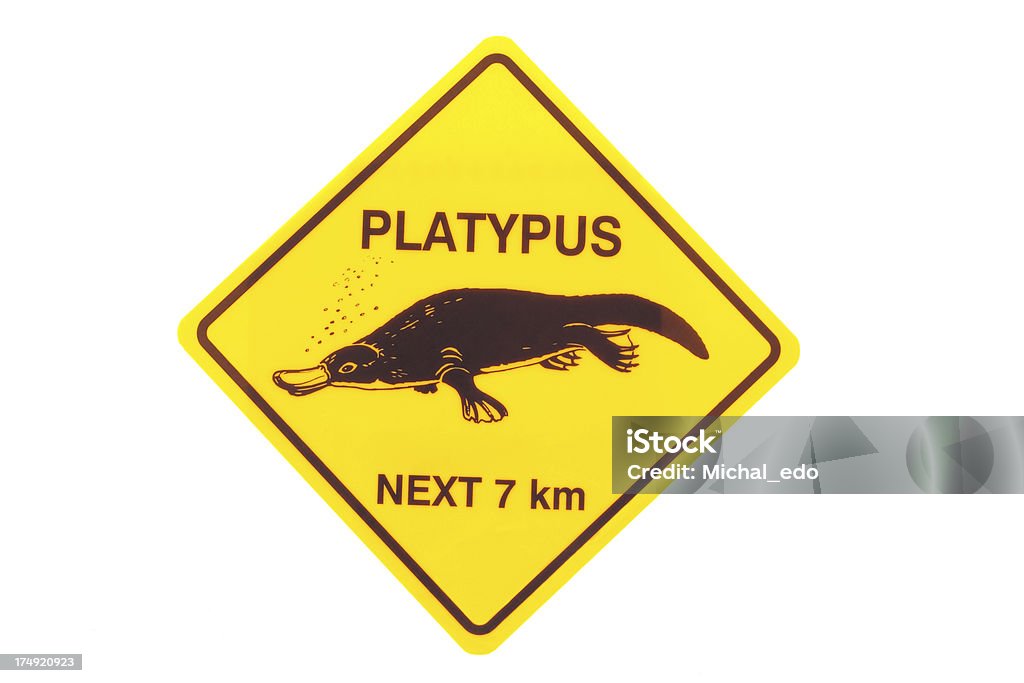 Platypus Road sign of the Platypus isolated on white Duck-Billed Platypus Stock Photo