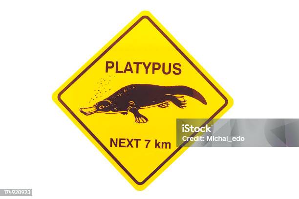 Platypus Stock Photo - Download Image Now - Duck-Billed Platypus, Sign, Advice