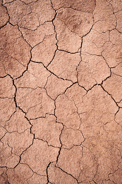 istock Dry cracked mud XXXL background. 174921059