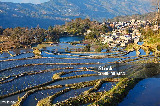 Yuanyang Campi Terrazzati - Fotografie stock e altre immagini di Acqua - Acqua, Agricoltura, Albero
