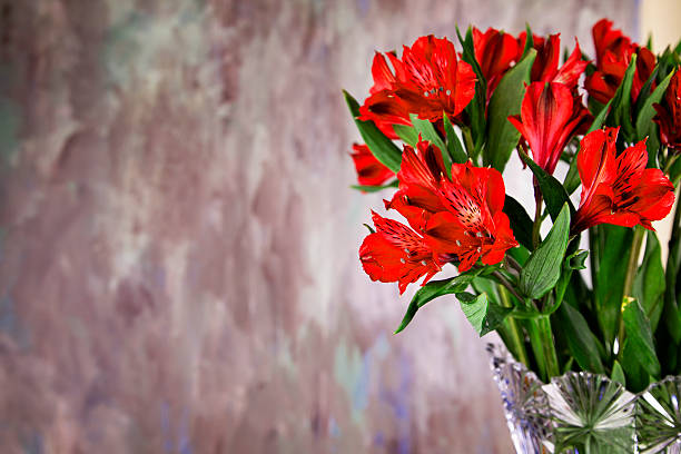 Fresh red alstroemeria in crystal vase copy space Fresh red alstroemeria in crystal vase copy space alstroemeria stock pictures, royalty-free photos & images