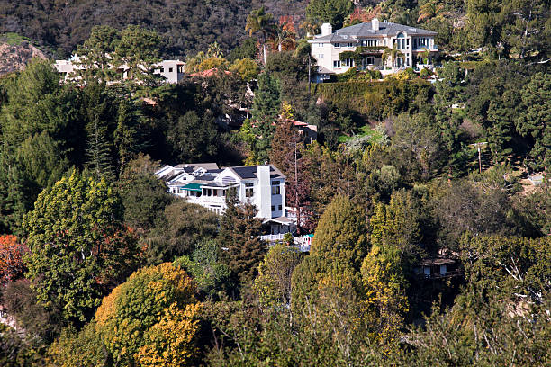 istock Large Homes and Mansions on a Pine Filled Hill Side 174921291