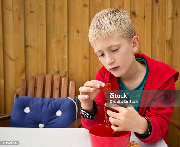 Jungen Blonden Jungen Studieren Flusskrebse Copyspace Stockfoto und mehr Bilder von 8-9 Jahre