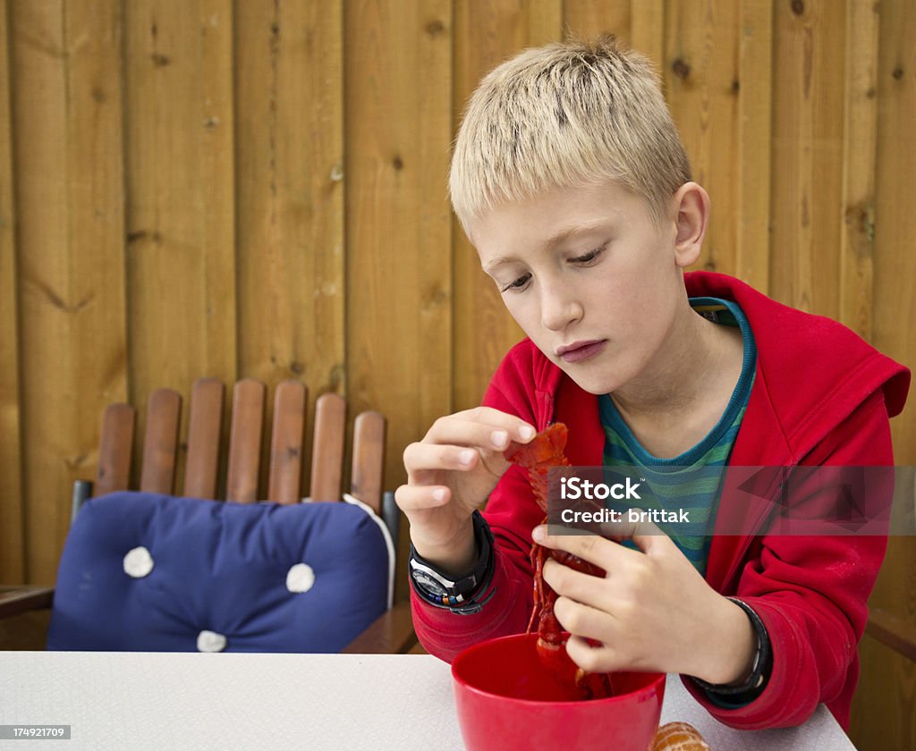 , rubia joven niño estudiando cangrejo de río. Copyspace - Foto de stock de 8-9 años libre de derechos