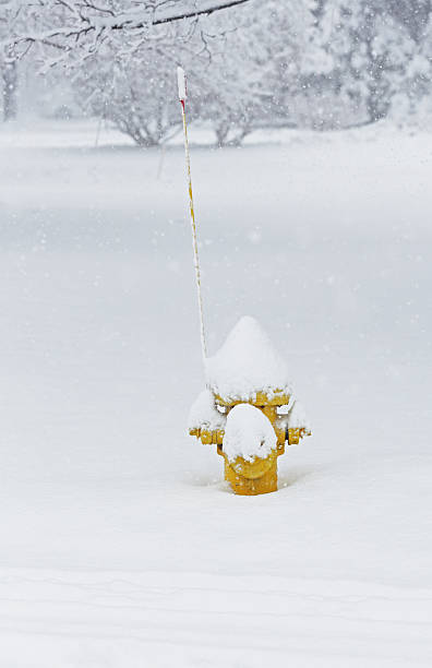 blizzard snowcapped hydrant przeciwpożarowy - isweather2013 zdjęcia i obrazy z banku zdjęć