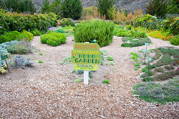 istock Herb Garden on Organic Farm 174922146