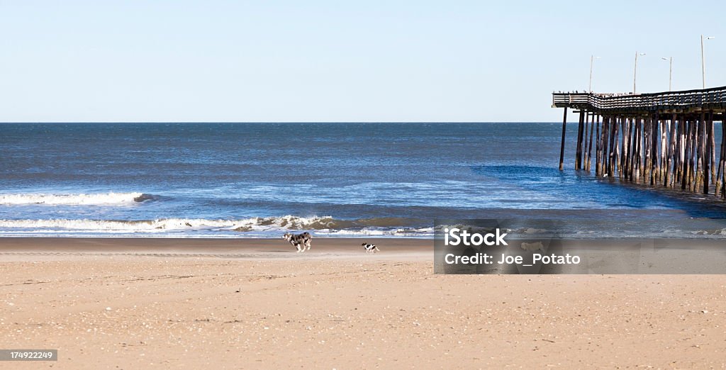 Sky Ocean Hunde und Strand - Lizenzfrei Anlegestelle Stock-Foto