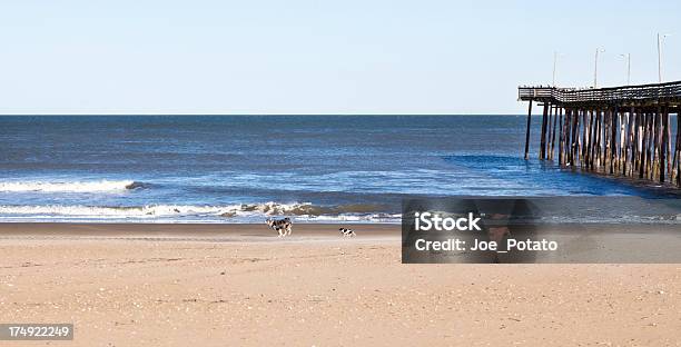 Sky Ocean Hunde Und Strand Stockfoto und mehr Bilder von Anlegestelle - Anlegestelle, Atlantik, Brandung