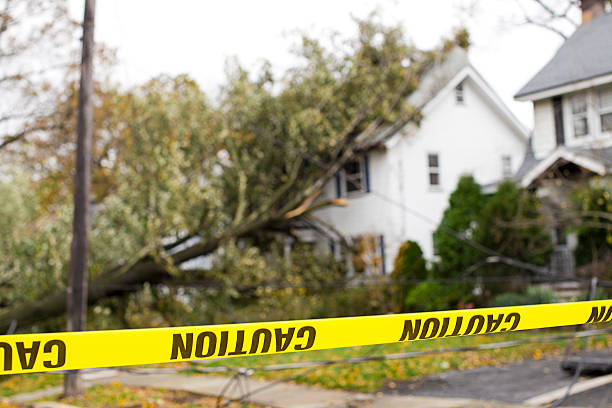 caution tape warning of downed tree - tyfoon fotos stockfoto's en -beelden