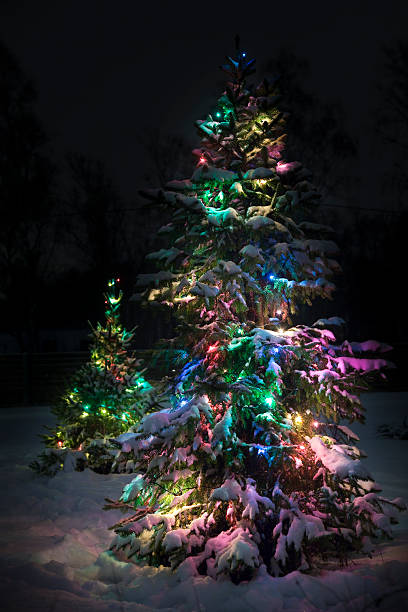 istock Outdoor christmas tree with lights 174922408