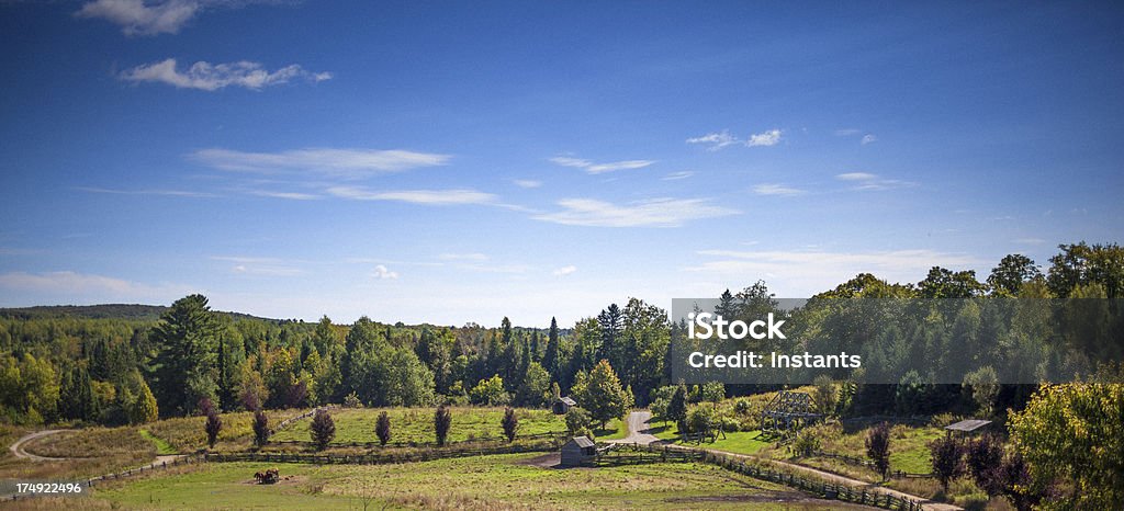 Scena rurale - Foto stock royalty-free di Albero