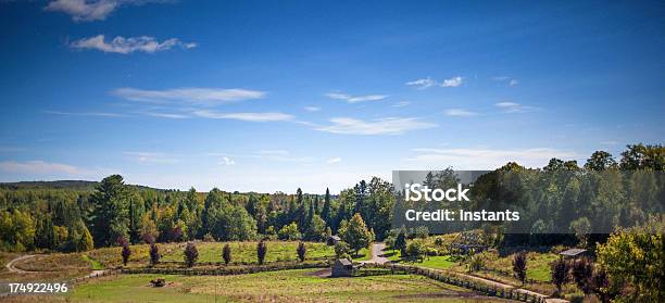 Scena Rurale - Fotografie stock e altre immagini di Albero - Albero, Albero deciduo, Ambientazione esterna