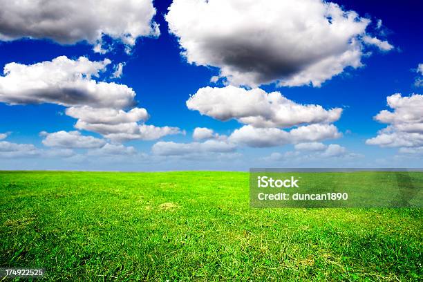 Endless Green Field Stock Photo - Download Image Now - Agricultural Field, Agriculture, Beauty
