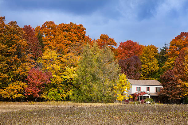 istock House Amid Forest of Fall Colors 174922650