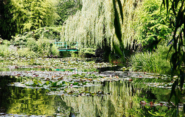 Monet`s lily pond, Giverny The famous lily pond of the painter Monet foundation claude monet photos stock pictures, royalty-free photos & images