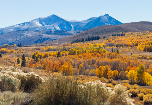 Fall Landscape From The Western United States