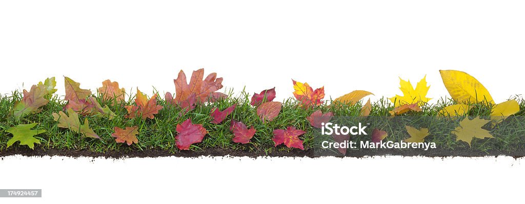 Verde, Vermelho e amarelo de outono folhas na grama com raízes - Royalty-free Amarelo Foto de stock