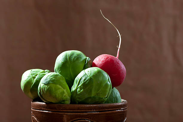 col de bruselas y de rábano - brussels sprout raw brown close up fotografías e imágenes de stock