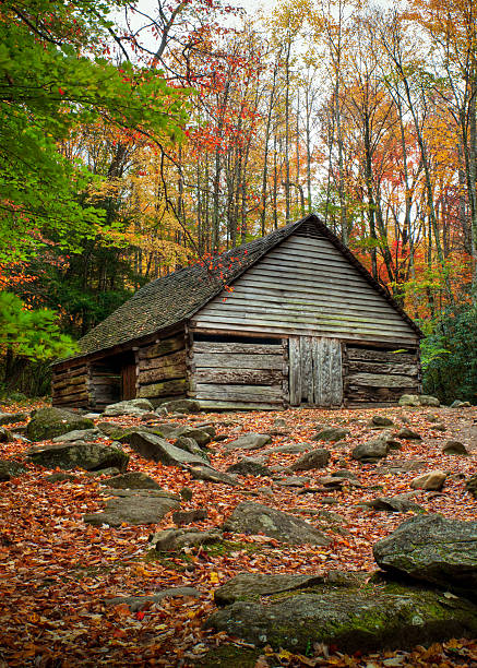 kabina, świetny widelec ścieżki napędu, great smoky mountains, gatlinburg, stan tennessee - roaring fork motor trail farmhouse architectural feature landscape zdjęcia i obrazy z banku zdjęć