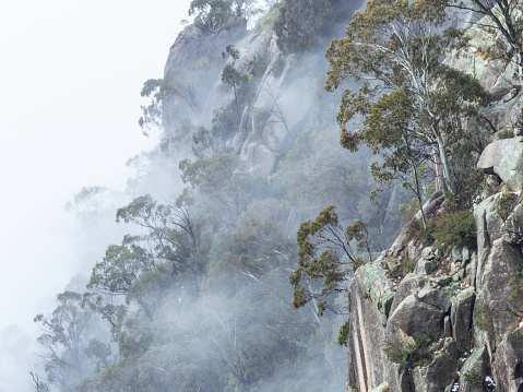 The granite wall of the Gorge at Mount Buffalo in fog Victoria's High Country