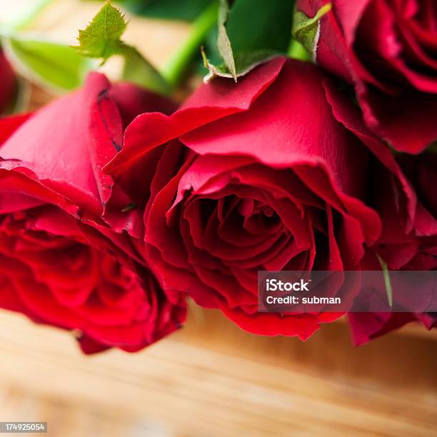Красные Розы — стоковые фотографии и другие картинки Без людей - Без людей, Букет, День святого Валентина