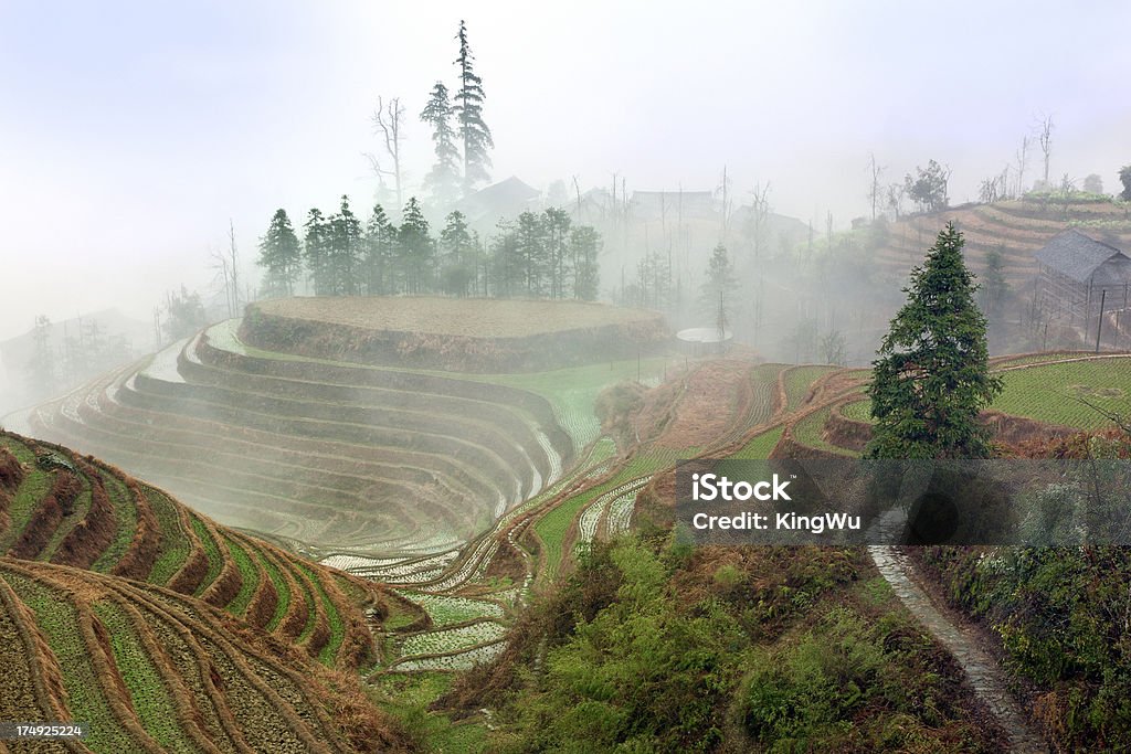 Longsheng rizières l'agriculture, Chine - Photo de Agriculture libre de droits