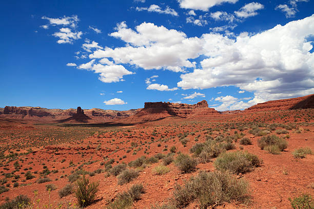 istock Valley of the Gods, Utah 174926034