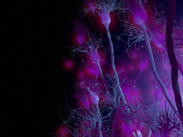 활동적임 뉴런 세포, synapse 네트워크 - nerve cell synapse communication human spine 뉴스 사진 이미지
