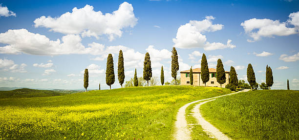 istock farmhouse in the Val d'orcia - Spring 174926350