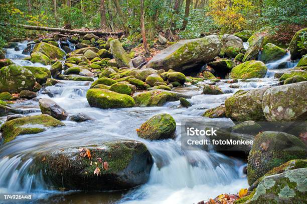 폭포가 으르렁거리다 포크 Great Smoky Mountains Gatlinburg 테네시 Usa 0명에 대한 스톡 사진 및 기타 이미지