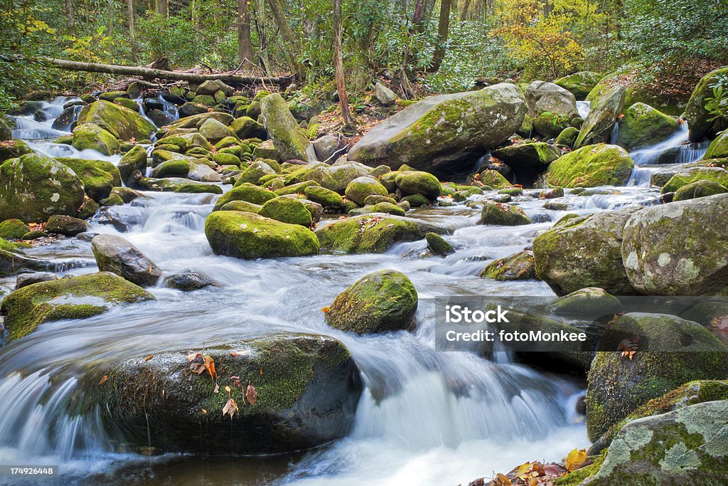 Cachoeiras no Roaring Fork, Great Smoky Mountains, Gatlinburg, Tennessee, EUA - Foto de stock de Appalachia royalty-free