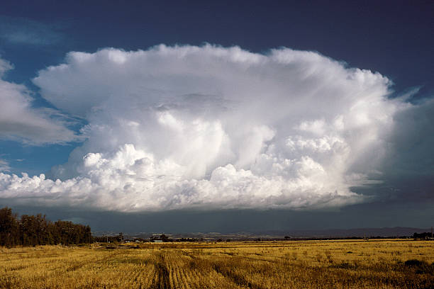 A large anvil-shaped thunderstorm cloud thrusts skyward over distant low hills.  In the foreground is the yellow stubble and grass from a grain crop.  A railway line is just visible on the left of frame. Horizontal.Click on the banner for more images like this ...