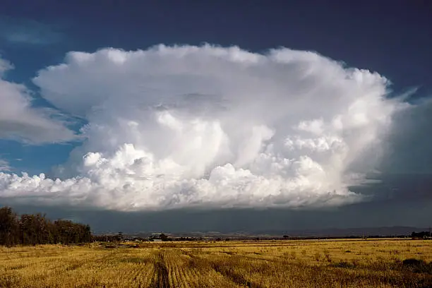 A large anvil-shaped thunderstorm cloud thrusts skyward over distant low hills.  In the foreground is the yellow stubble and grass from a grain crop.  A railway line is just visible on the left of frame. Horizontal.Click on the banner for more images like this ...