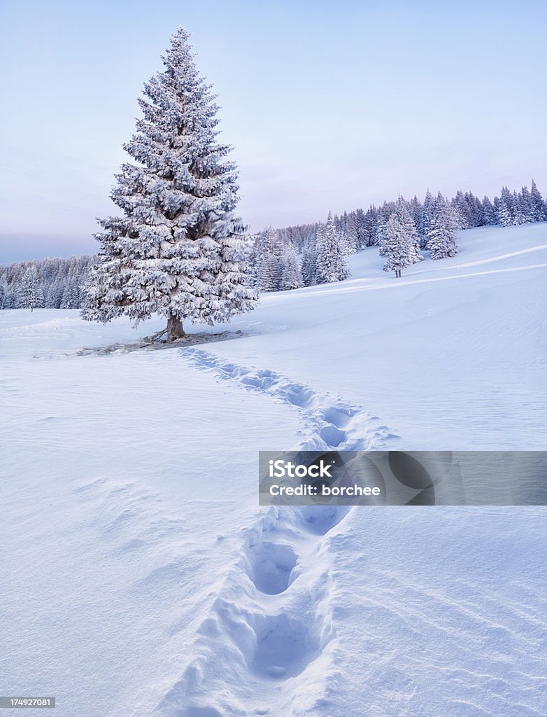 Arbre d'hiver - Photo de Neige libre de droits