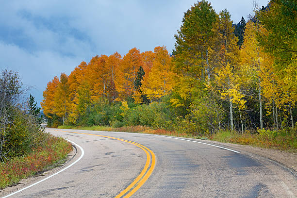 istock Winding Road through Fall Yellow Aspen Trees in Colorado 174927296