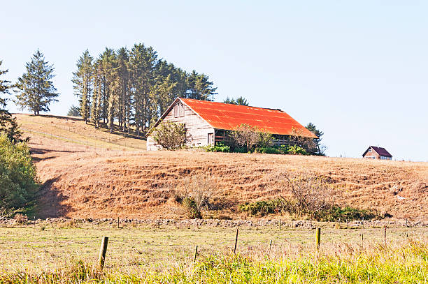 istock Old barn in Ferndale, California  174927351