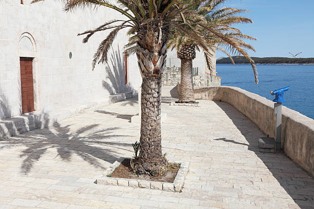 turquoise mediterranean ocean blue telescope and palm trees Rab Croatia