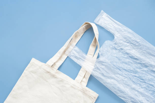 istock Choose reusable tote bag or disposable plastic bag. 1749275865