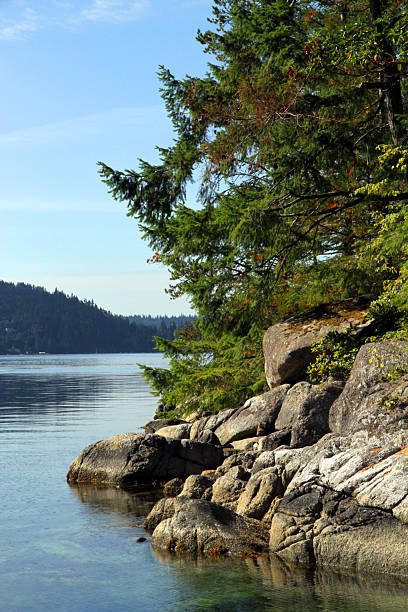 istock Morning on the Island 174927931