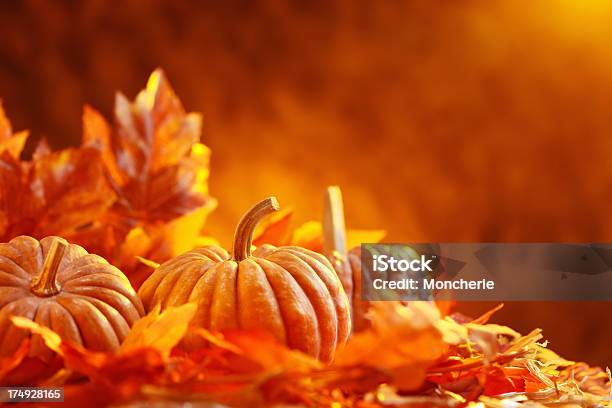 Herbst Dekoration Stockfoto und mehr Bilder von Riesenkürbis - Riesenkürbis, Herbst, Blatt - Pflanzenbestandteile